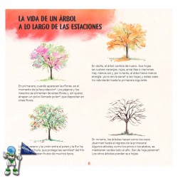 DESCUBRO LOS ÁRBOLES Y APRENDO A RECONOCERLOS