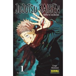 JUJUTSU KAISEN 1 GUERRA DE HECHICEROS