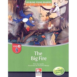 THE BIG FIRE + CD LEVEL A