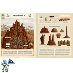 CONSTRUCCIONES ANIMALES