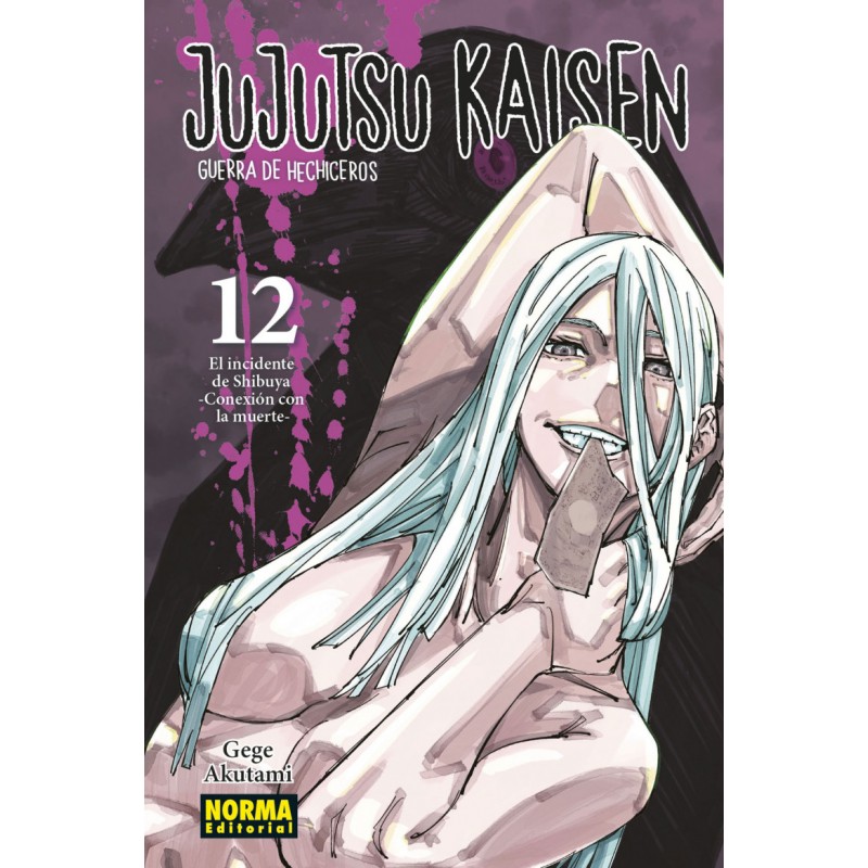 JUJUTSU KAISEN 12