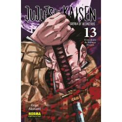 JUJUTSU KAISEN 13