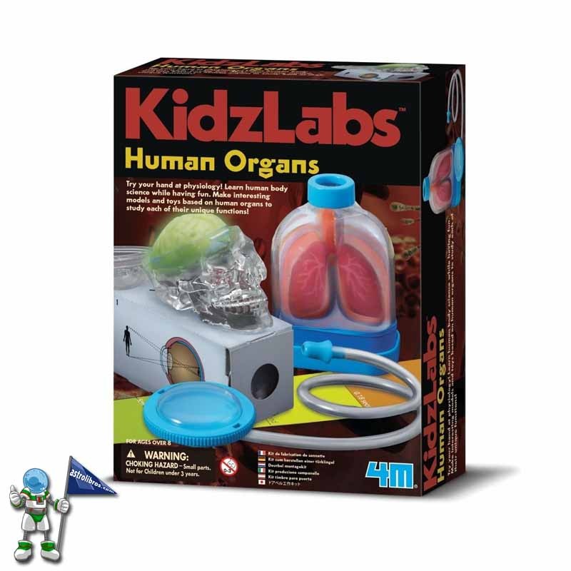 KIT ÓRGANOS HUMANOS, MANUALIDADES KIDZLABS