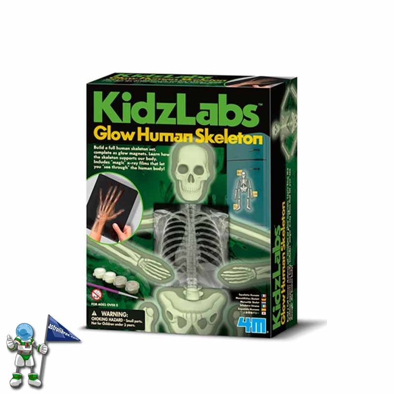 KIT ESQUELETO HUMANO BRILLANTE, MANUALIDADES KIDZLABS