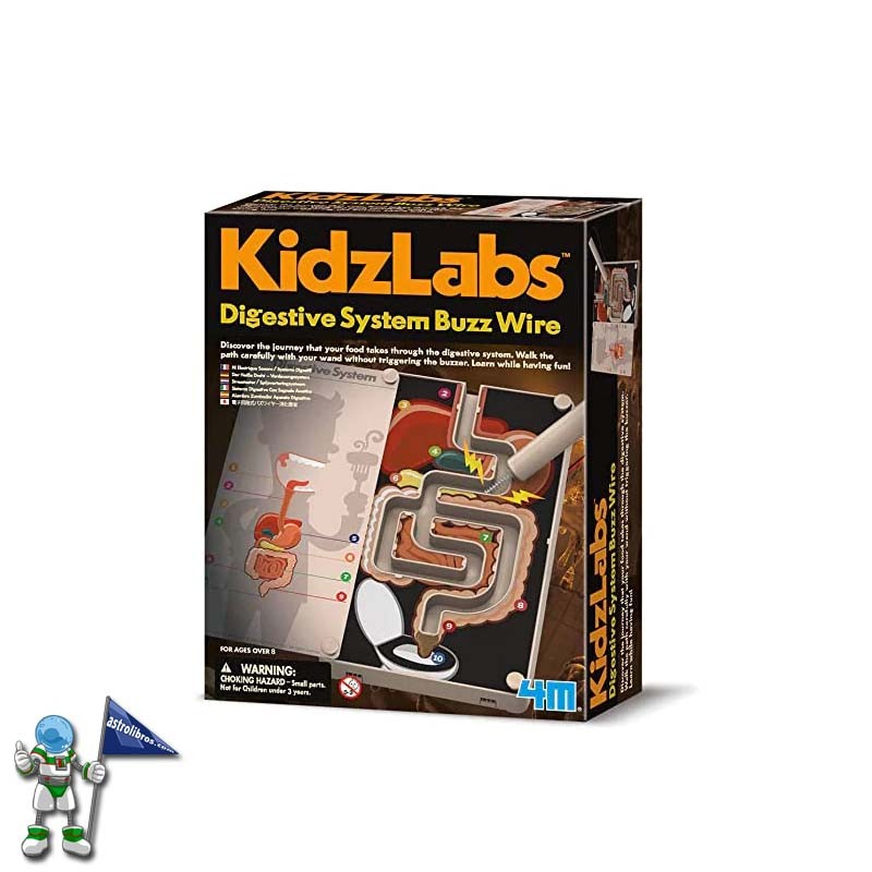 SISTEMA DIGESTIVO, MANUALIDADES KIDZLABS