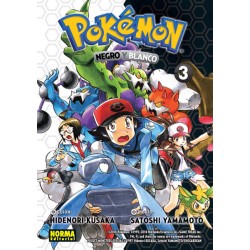 POKÉMON 28, NEGRO Y BLANCO 3