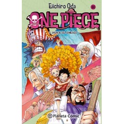 ONE PIECE Nº80