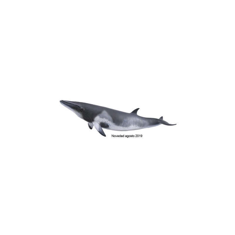 BALLENA MINKE, FIGURAS DE ANIMALES BALLENA MINKE, FIGURAS DE ANIMALES