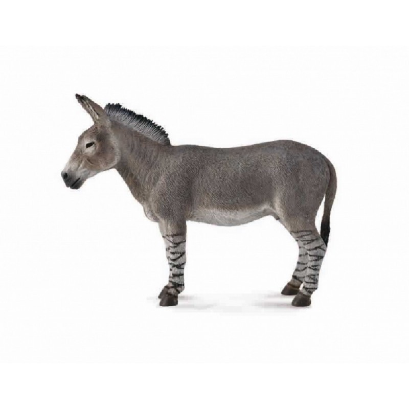 BURRO ASNO SALVAJE AFRICANO, FIGURAS DE ANIMALES BURRO ASNO SALVAJE AFRICANO, FIGURAS DE ANIMALES