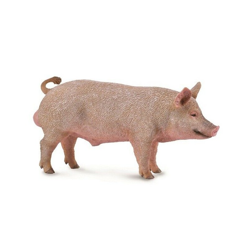 CERDO MACHO, FIGURAS DE ANIMALES CERDO MACHO, FIGURAS DE ANIMALES