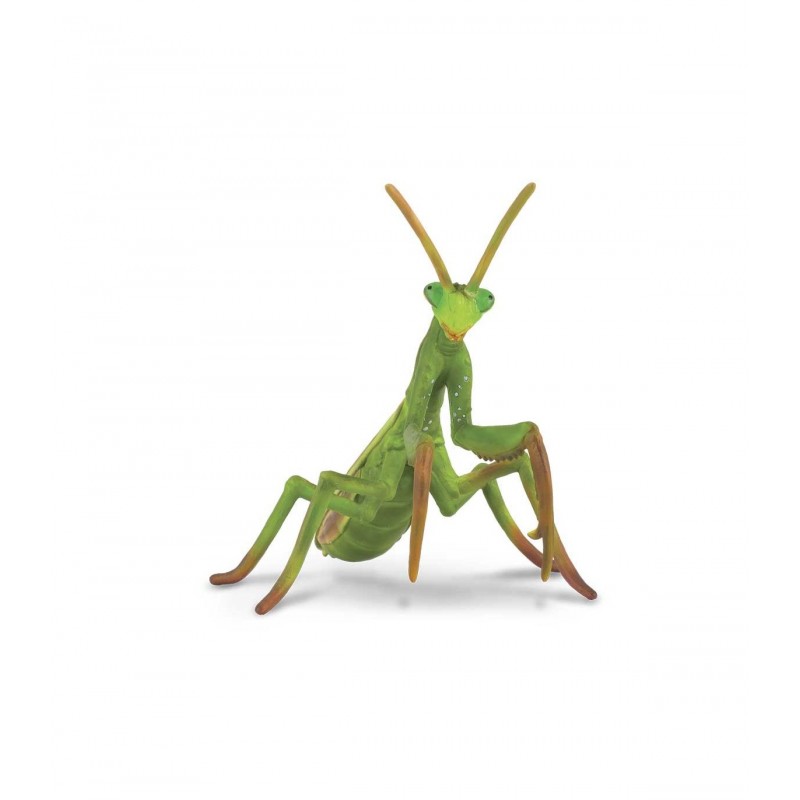 MANTIS RELIGIOSA, FIGURAS DE ANIMALES