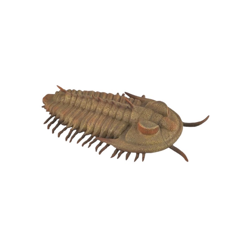 TRILOBITE, FIGURAS DE ANIMALES