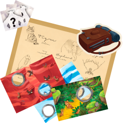 FOTO PERFECTA, JUEGO DE MESA