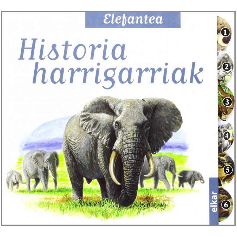 ELEFANTEA, HISTORIA HARRIGARRIAK