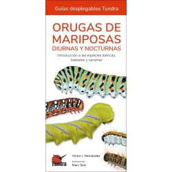 ORUGAS DE MARIPOSAS, GUÍAS DESPLEGABLES TUNDRA
