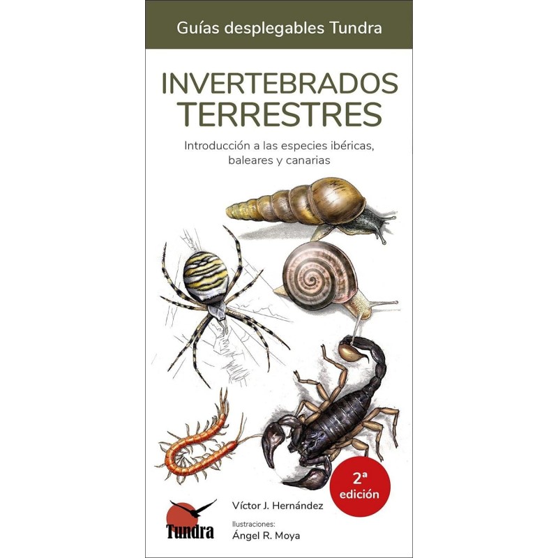 INVERTEBRADOS TERRESTRES, GUÍAS DESPLEGABLES TUNDRA