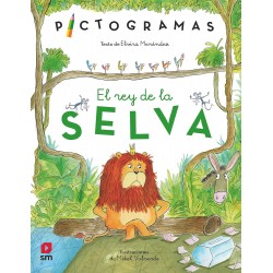 EL REY DE LA SELVA, PICTOGRAMAS