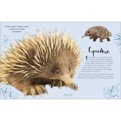 MARAVILLAS NATURALES, LIBROS DE CIENCIA PARA NIÑOS