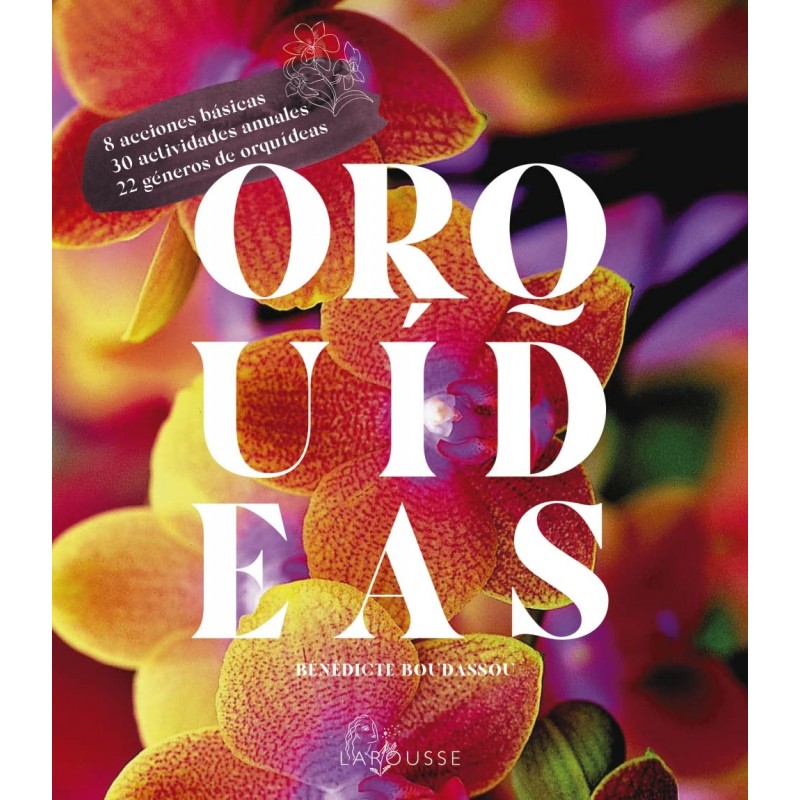 ORQUÍDEAS