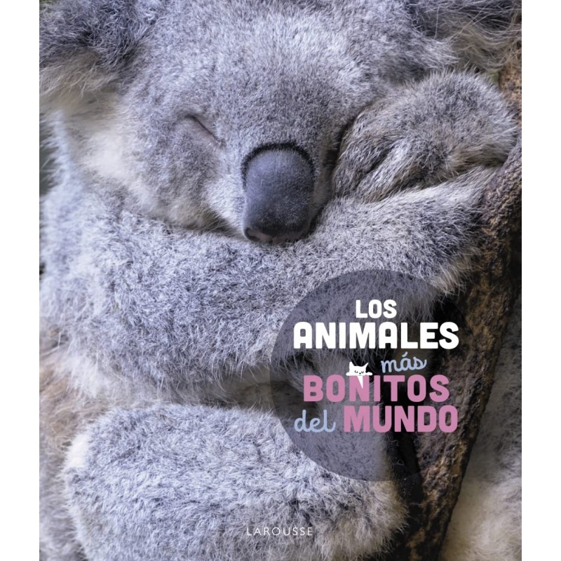 LOS ANIMALES MÁS BONITOS DEL MUNDO
