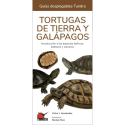 TORTUGAS DE TIERRA Y GALAPAGOS, GUÍAS DESPLEGABLES TUNDRA