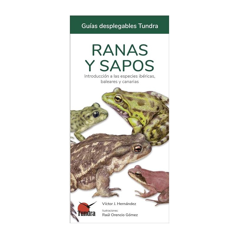 RANAS Y SAPOS, GUÍAS DESPLEGABLES TUNDRA