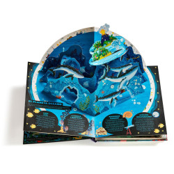 POP-UP OCÉANO, IDEAKA