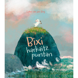 BIXI HARKAITZ-PUNTAN