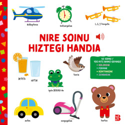 NIRE SOINU HIZTEGI HANDIA