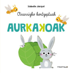 AURKAKOAK, OINARRIZKO KONTZEPTUAK