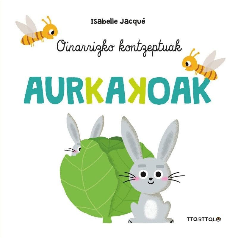 AURKAKOAK, OINARRIZKO KONTZEPTUAK