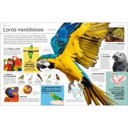 LA SUPERENCICLOPEDIA DE LOS ANIMALES