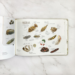 CUADERNO DE CAMPO, APRENDE DIBUJANDO