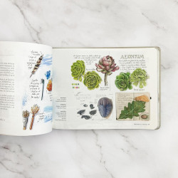 CUADERNO DE CAMPO, APRENDE DIBUJANDO