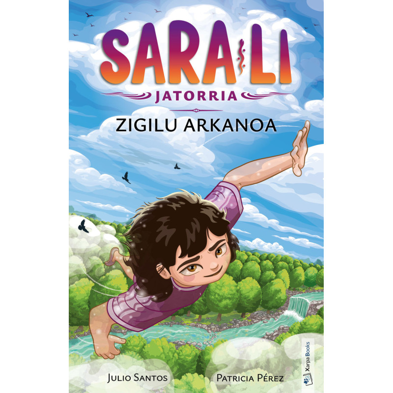 SARA-LI 6, ZIGILU ARKANOA