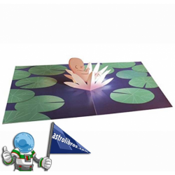 BABY-POP, LIBRO POP-UP